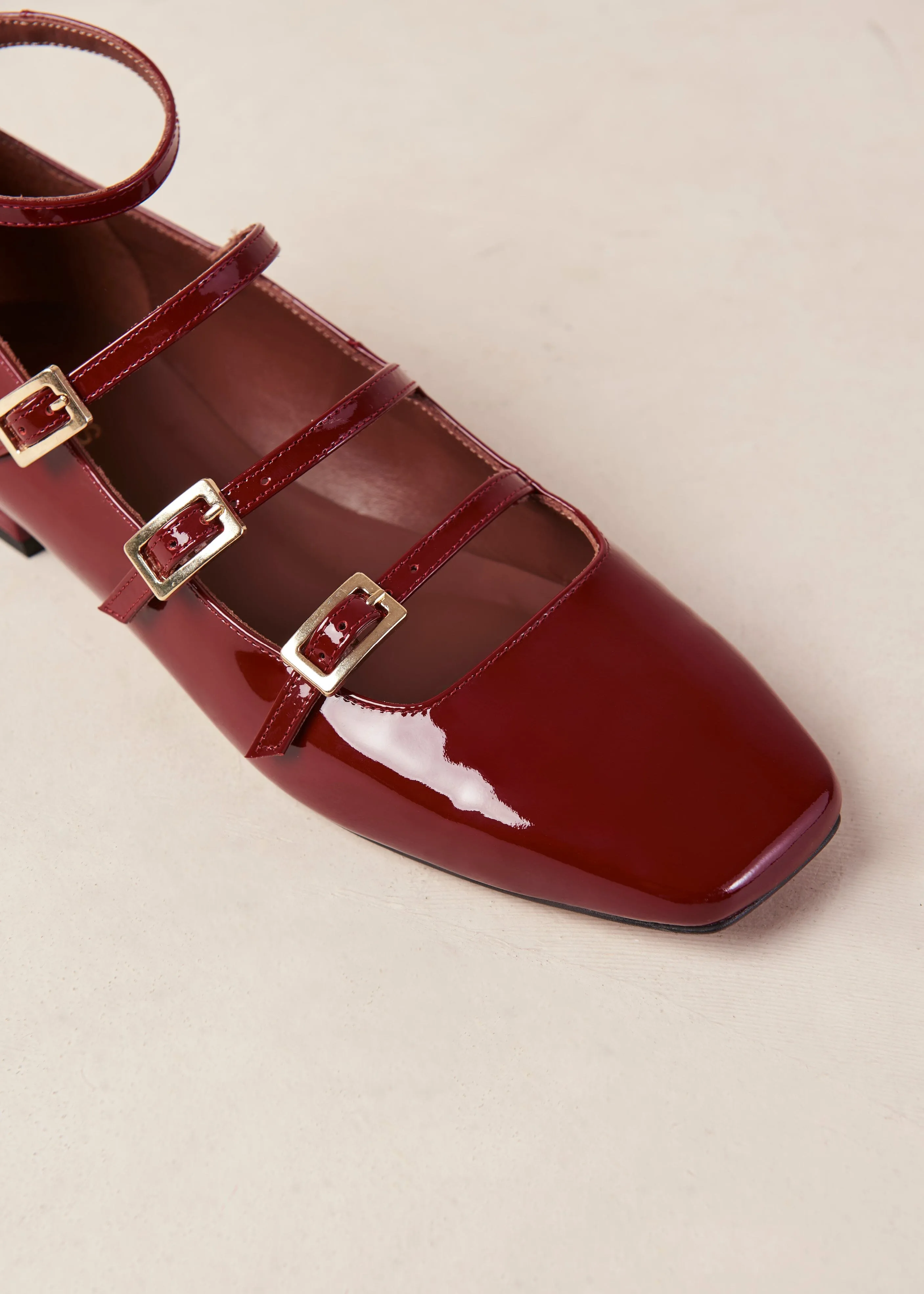 Luke Leather Ballet Flats  Onix Wine Burgundy